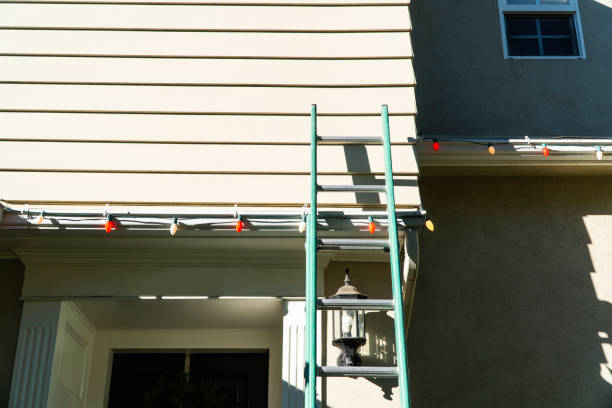 Professional Siding Services in Long Prairie, MN