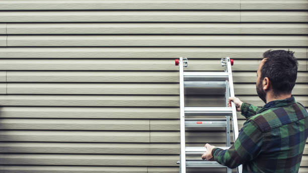 Best Aluminum Siding Installation  in Long Prairie, MN